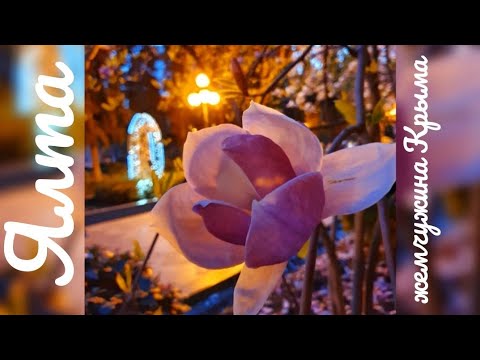 Похождения по Ялте продолжаются ) ул.Пушкинская ночью. Крым