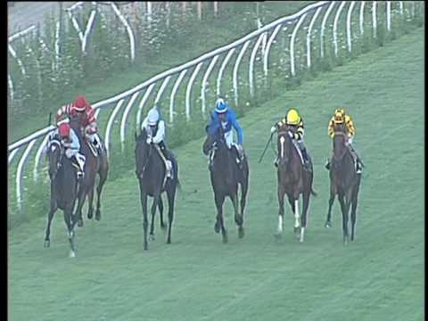 Galoppo 26/07/2017 - 2ª corsa