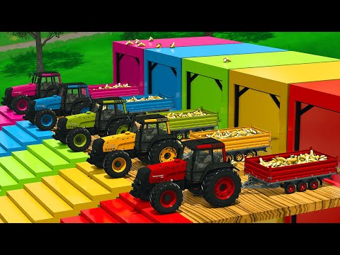 LOAD AND TRANSPORT BANANAS WITH VALTRA TRACTORS AND JCB LOADERS - FS25