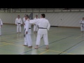 Bunkai Letzte Sequenz Bassai Sho