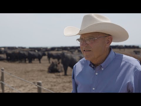 Timmerman to receive Industry Achievement Award