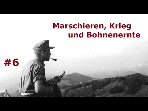 Marschieren, Krieg und Bohnenernte - Tagebuch eines Feldwebels Teil 6