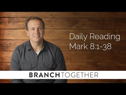 Daily Reading - Mark 8