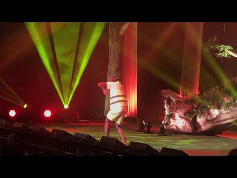 Boredom - Tyler the Creator (LIVE) CRAZY LOUD San Diego, CA