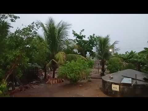 Já chegou a chuva na varzinha município de Itapicuru Bahia,o glória 