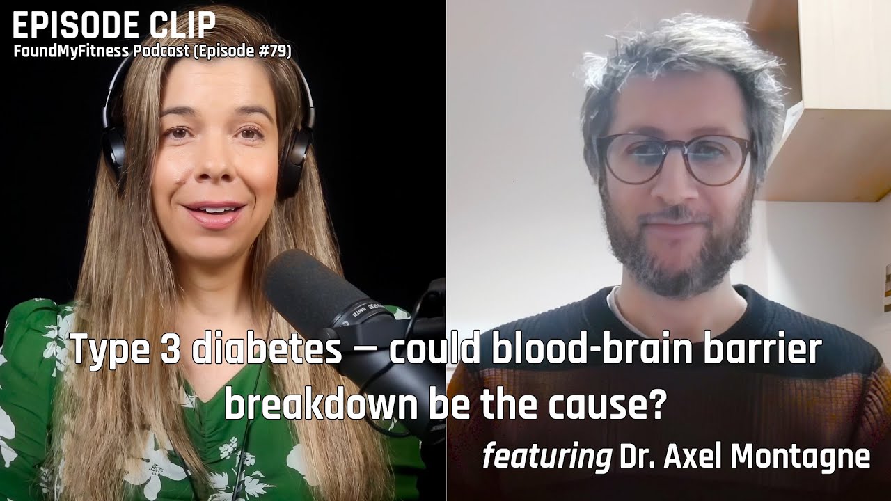 "Type 3 diabetes" — could blood-brain barrier breakdown be the cause? | Axel Montagne, Ph.D.