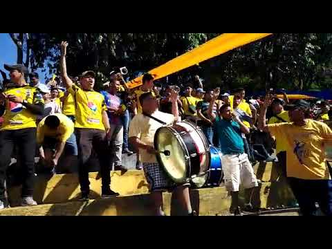 "La fiel amarilla ðŸŽºðŸ¥" Barra: La Fiel Amarilla • Club: Once Municipal