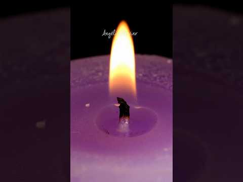Motivo De Mi Felicidad - Arcangeles De America