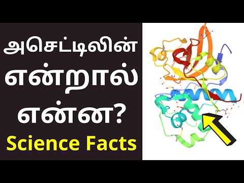 அசெட்டிலின் OR அசிட்டிலின் என்றால் என்ன? | Actinidain Meaning in tamil | Science Facts 2021