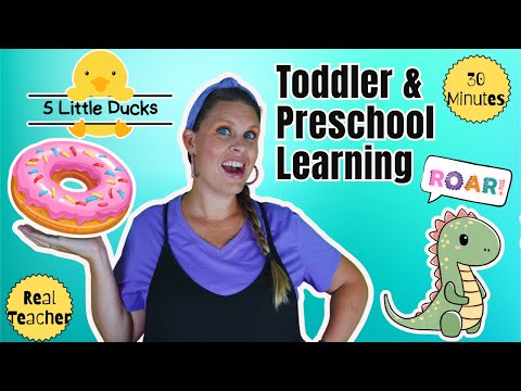 Letter D Preschool Learning Video | Phonics, Counting, Songs & More | Bingo and 5 Little Ducks