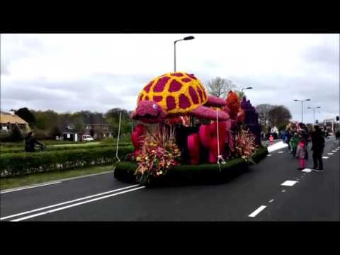 2017 04 22 Blumencorso Keukenhof Holland