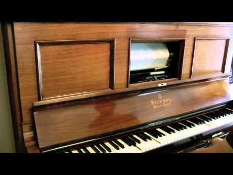 Jackass Blues.  Piano roll.