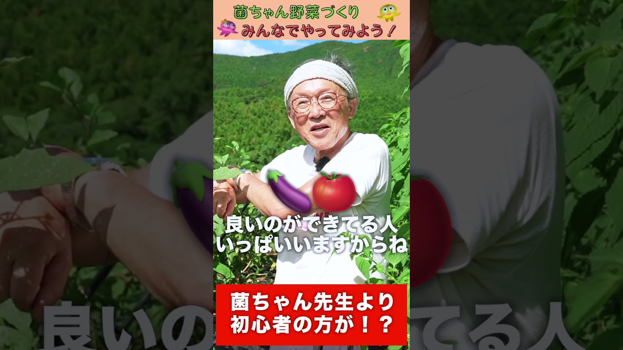 初心者の方が上手くいく！？【おうちで元気な無農薬野菜を育てよう】 #shorts
