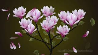 Grow And Blow In The Wind Flowers And Leaves Of Sweet Pink Magnolia Plant With Alpha Channel