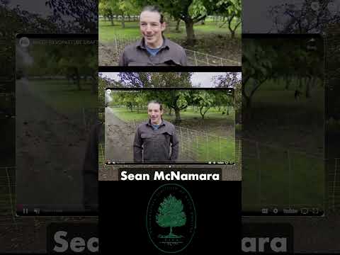 PINA's Regenerative Education: A New Learning Paradigm