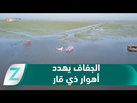 فيديو | ذي قار.. الجفاف يهدد الأهوار بخسارة إرثها العالمي ونزوح آلاف العائلات