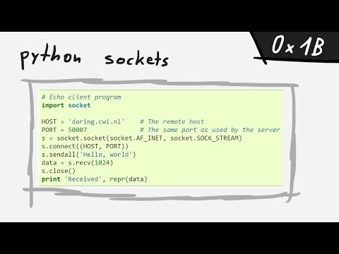 Socket Programming In Python And Integer Overflow Bin 0x1b