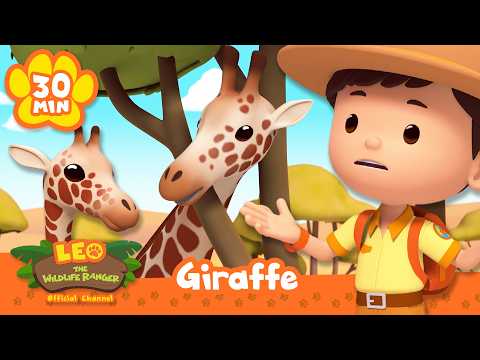 Leo Finds Giraffes Eating Leaves on Tall Trees! | Leo the Wildlife Ranger | Learning Animal Cartoons - Kids TV Series, Kingdom Kids Zone - Leo the Wildlife Ranger - Official Channel