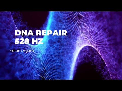 #DNA repair #528HZ Yotam Agam