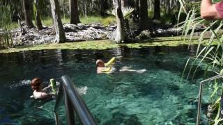 Bitter/Mataranka Springs