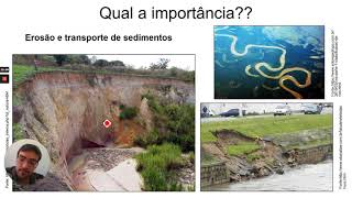 Importância da gestão de águas pluviais (Drenagem Urbana)