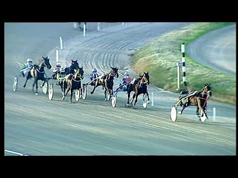 Trotto 18/12/2020 - 5ª corsa