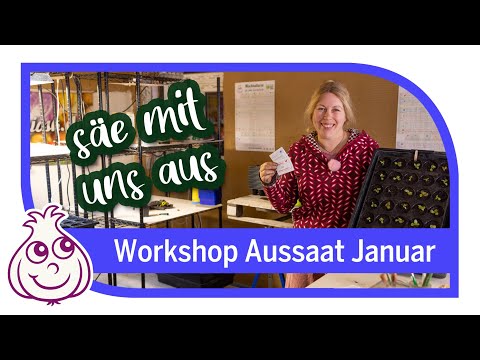 Our first sowings in January | Vegetable Growing Workshop Part 1