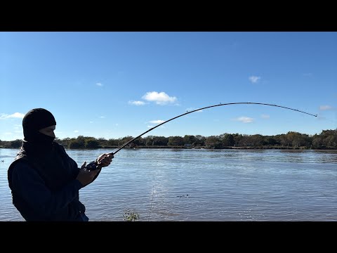 Pesca Y Cocina En Reconquista Santa Fe - Guiso En El Río 
