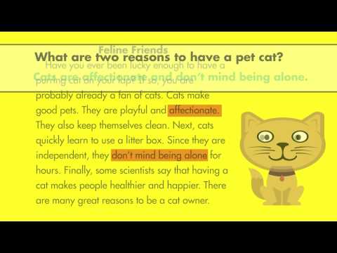 Spectrum Tutor Grade 3: Reading for Main Ideas &...