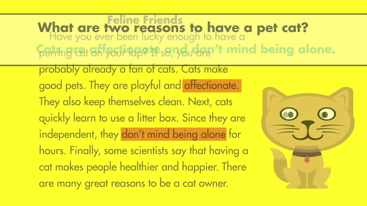 Spectrum Tutor Grade 3: Reading for Main Ideas & Detail in Informational Text