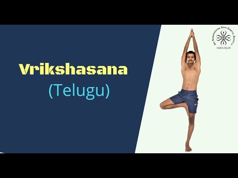 vrkshasana in Telugu