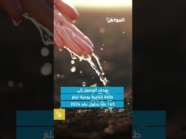 كيف تمكنت السعودية من تصدير الطماطم إلى أوروبا لأول مرة؟