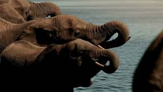 Darcy Keely: Safari Scholarship Trip