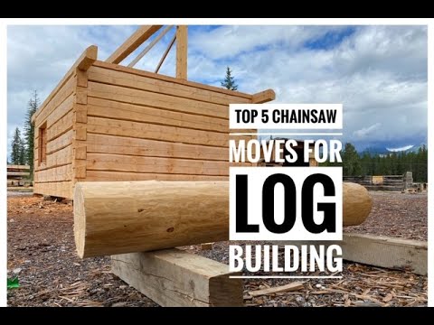 Top 5 Chainsaw Moves for Log Home Building. #logcabin #cabinbuild #chainsawskills #saw #logbuilding