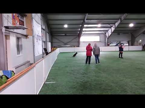 2019.03.30 SK Vantaal / OB in Vantaa - kaugjuhtimine / distance control - 9p.