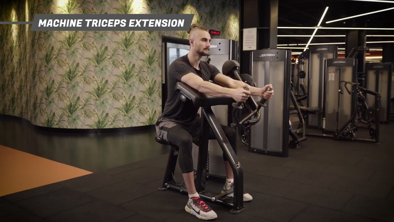 Triceps
