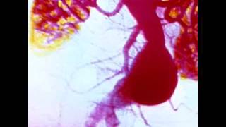 Notable American Women - Cyberchondria