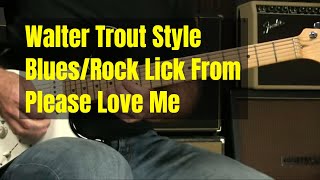 Walter Trout Please Love Me Blues Or Blues/Rock Guitar Lick