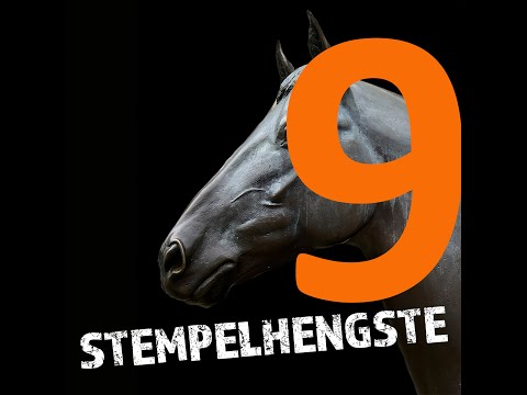 Stemeplhengste Podcast - 9 Grannus