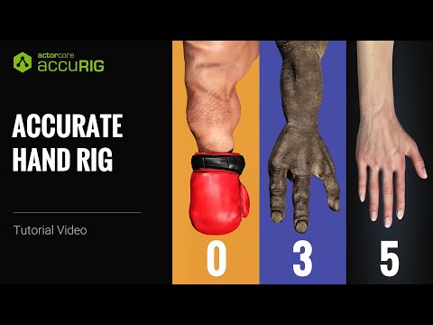Get Perfect Hand Rigging for Your 3D Characters with Free Auto-Rigging Tool | AccuRIG