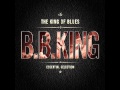 B B  King Summer in the city 