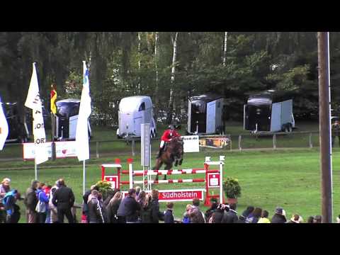 Cor de Diamant 8 Jährig Holsteiner von Diamant de Semilly x cor de La Bryere