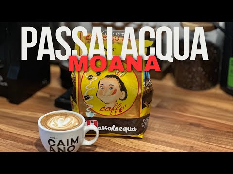 Der Beste 100% Arabica: Passalacqua Moana