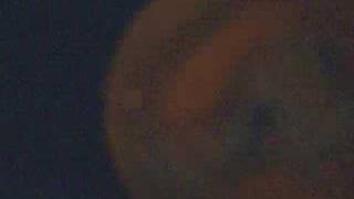 SWEET  BITTER  LOVE (skinhead mod )