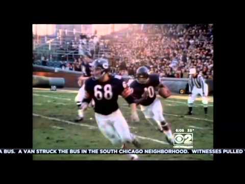 The 100 Years Of History At Wrigley Field