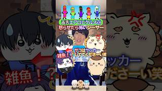 ブチ切れ毒舌シーサー✖︎ちいかわエアロピ➓ #ちいかわ #声真似 #エアロピクルス