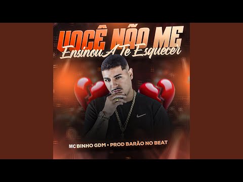 Você Não Me Ensinou a Te Esquecer