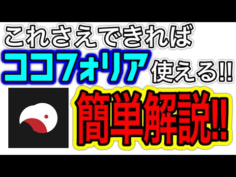 エレマルケ・ロトゥンディフォリアについて詳しく解説