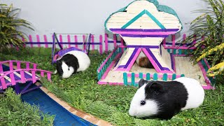 Best Guinea Pig House | Guinea Pig House Diy