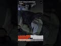 Disoc8 Blackout Cy4ne Disoc8 Cy4ne Snippet